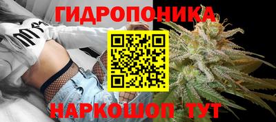 хмурый Свободный