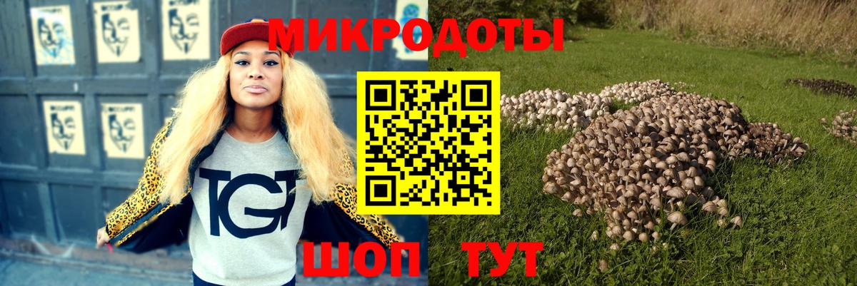 Псилоцибиновые грибы прущие грибы  Вход с VPN  Псилоцибиновые грибы Cubensis  Новошахтинск 